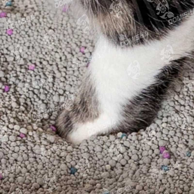 خاک گربه