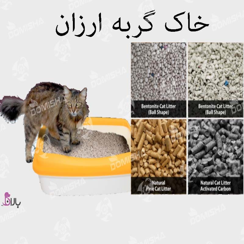 خاک گربه ارزان