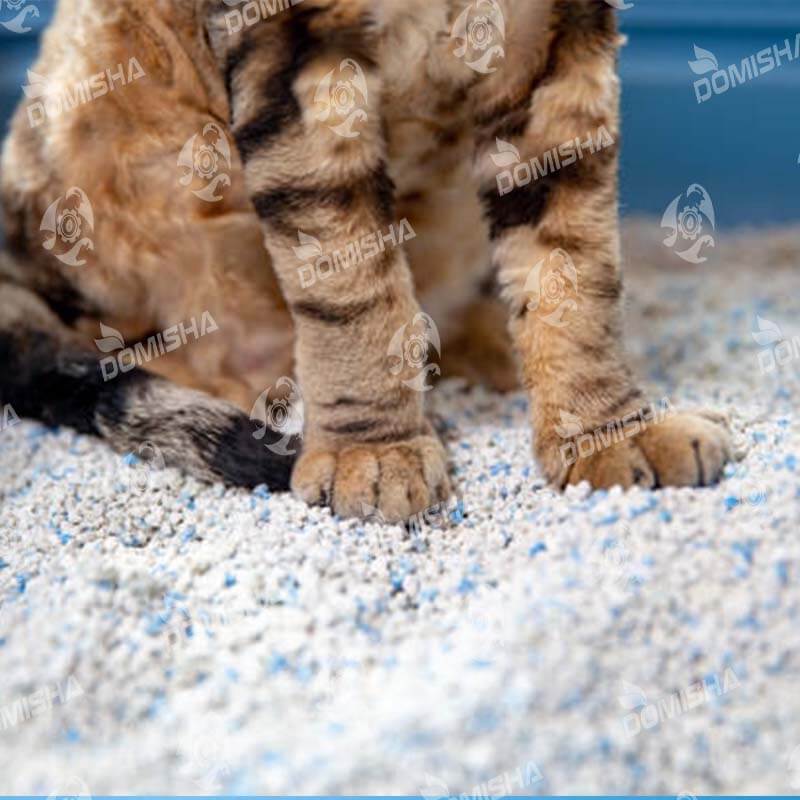 خاک گربه فله ای